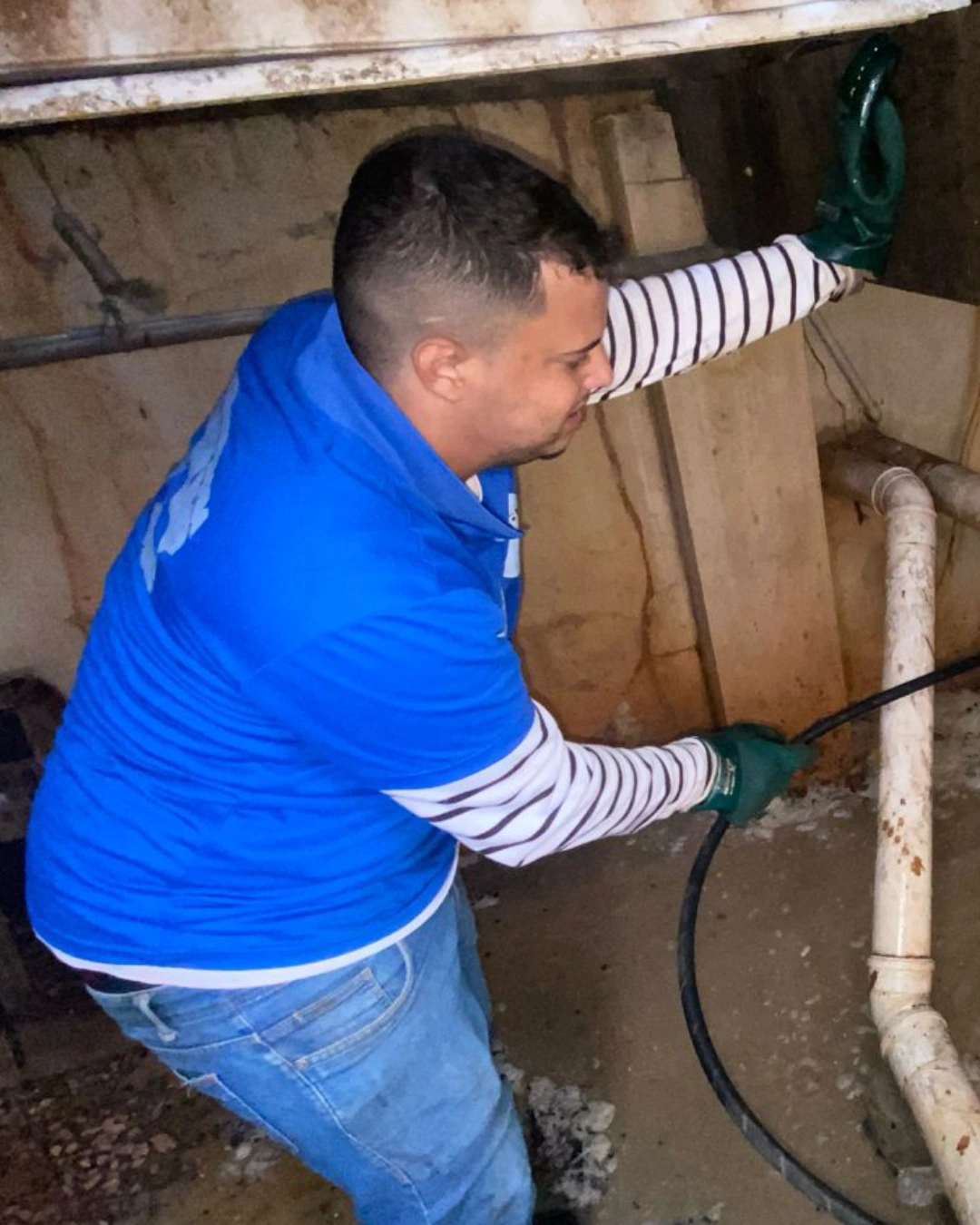 Novo Projeto - 2025-08-18T170406.743